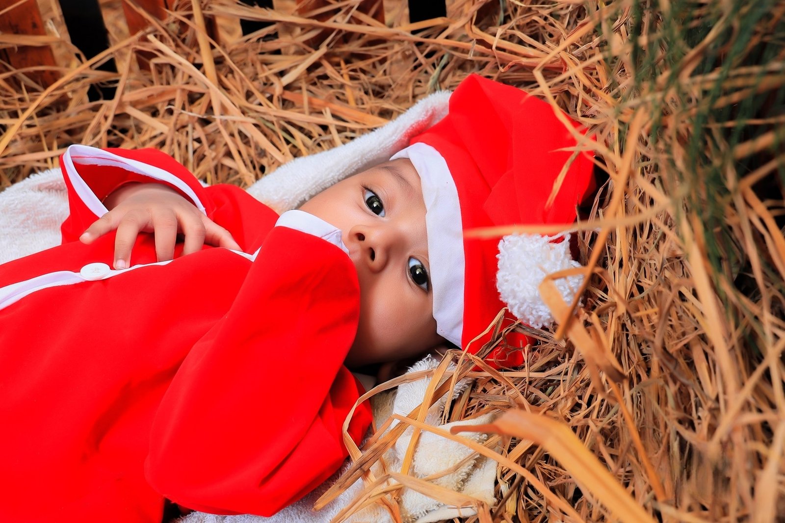 Baby Photography